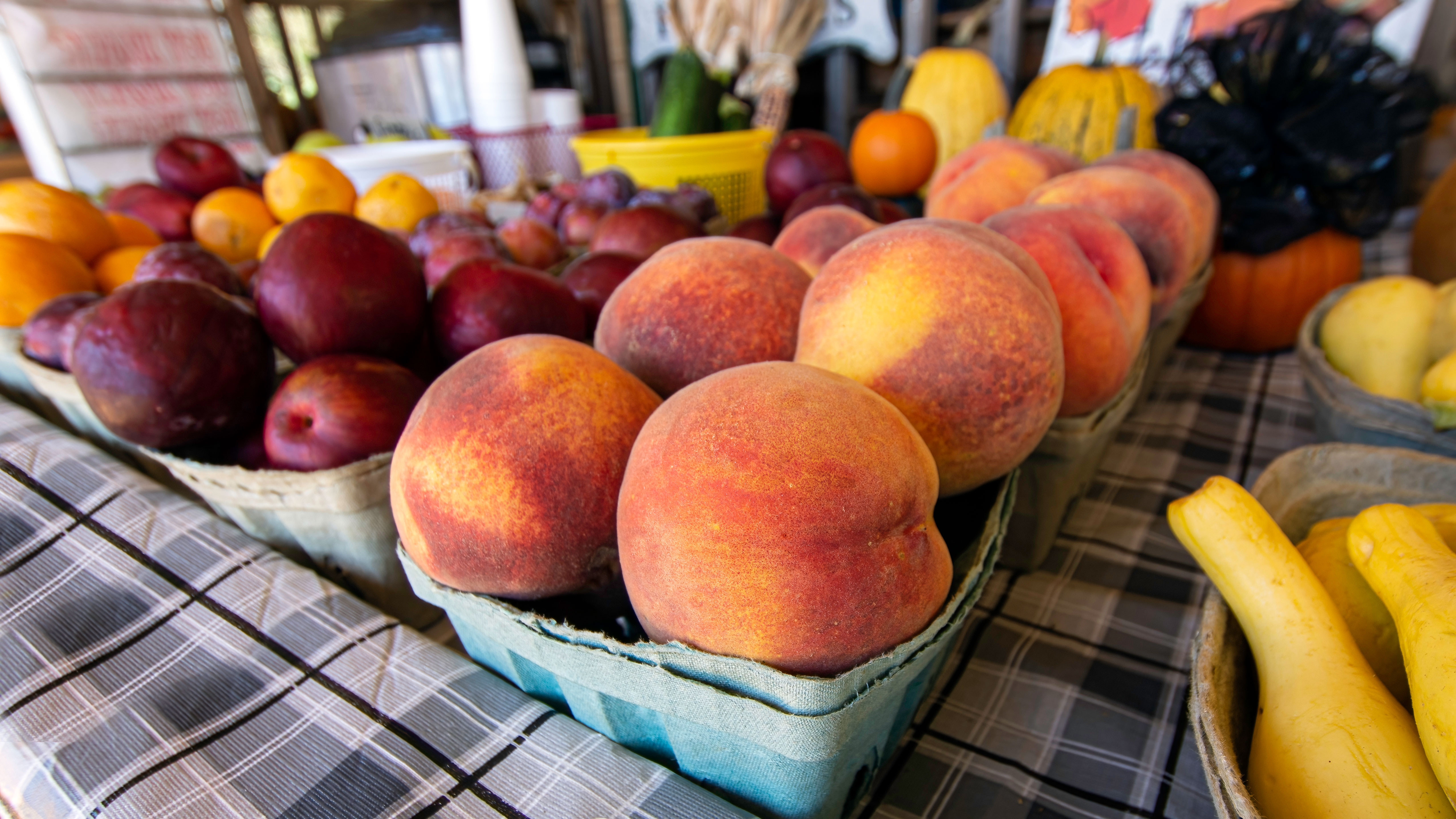 Farmer's market