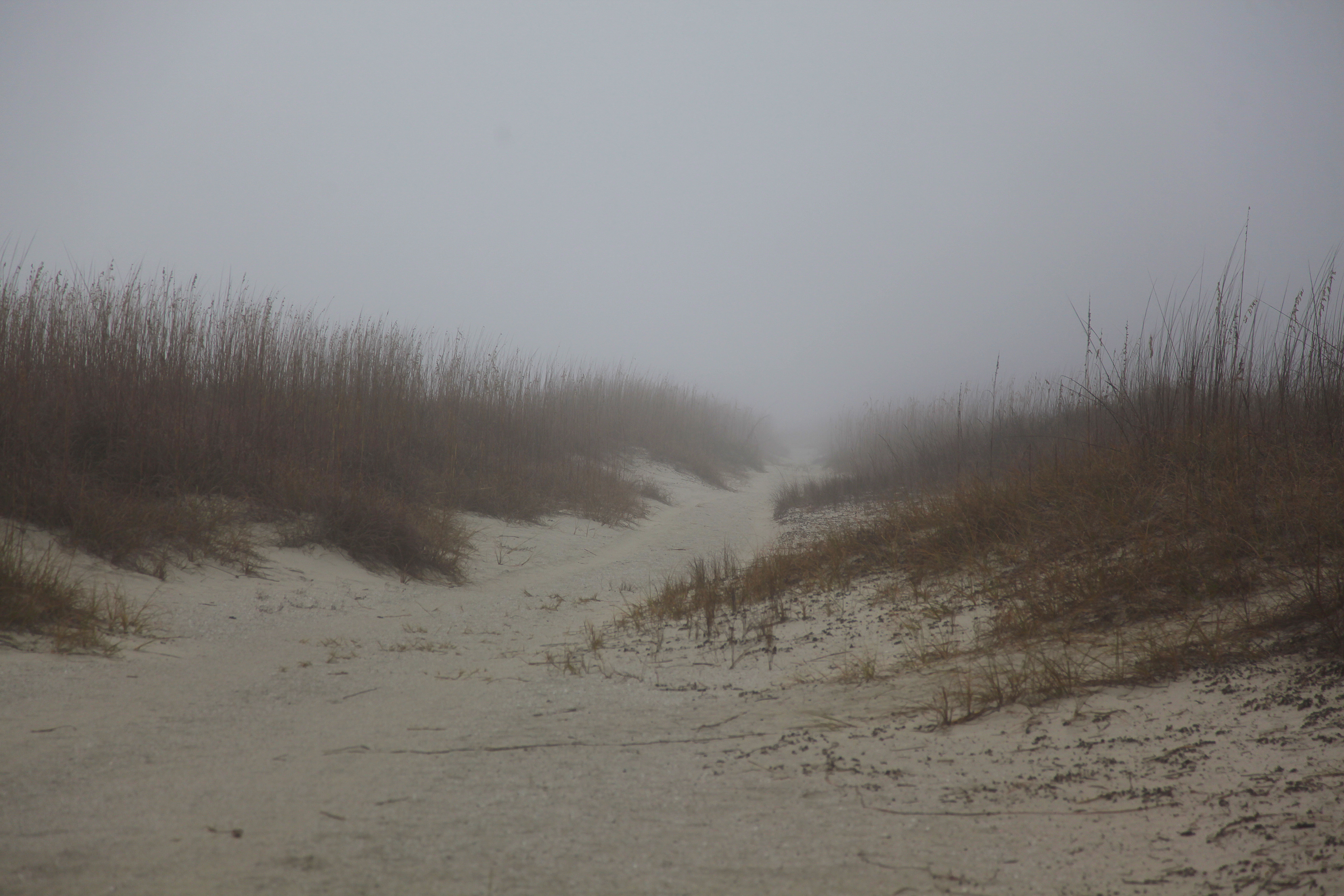 Haze over the beach