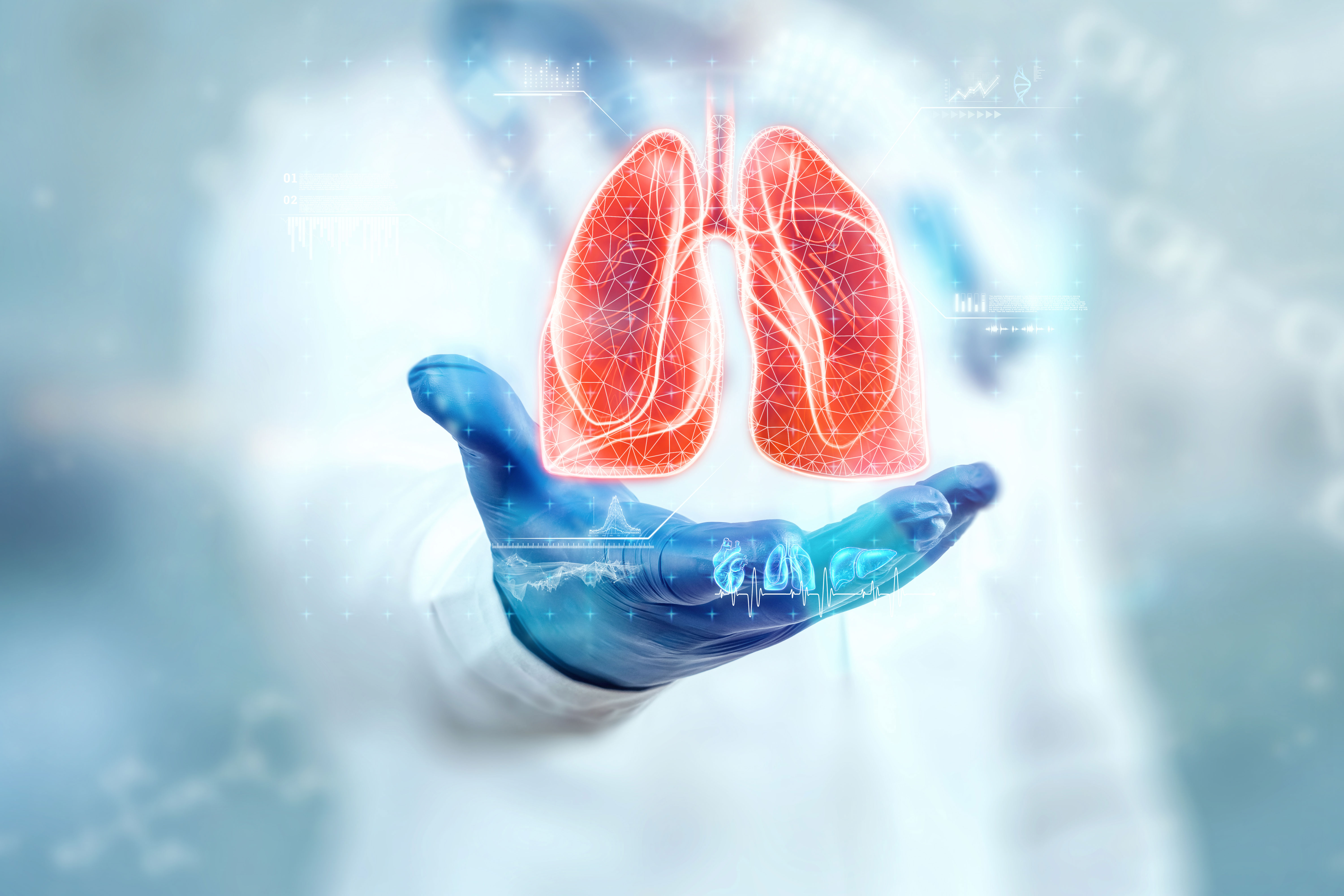 Lungs Lungs
