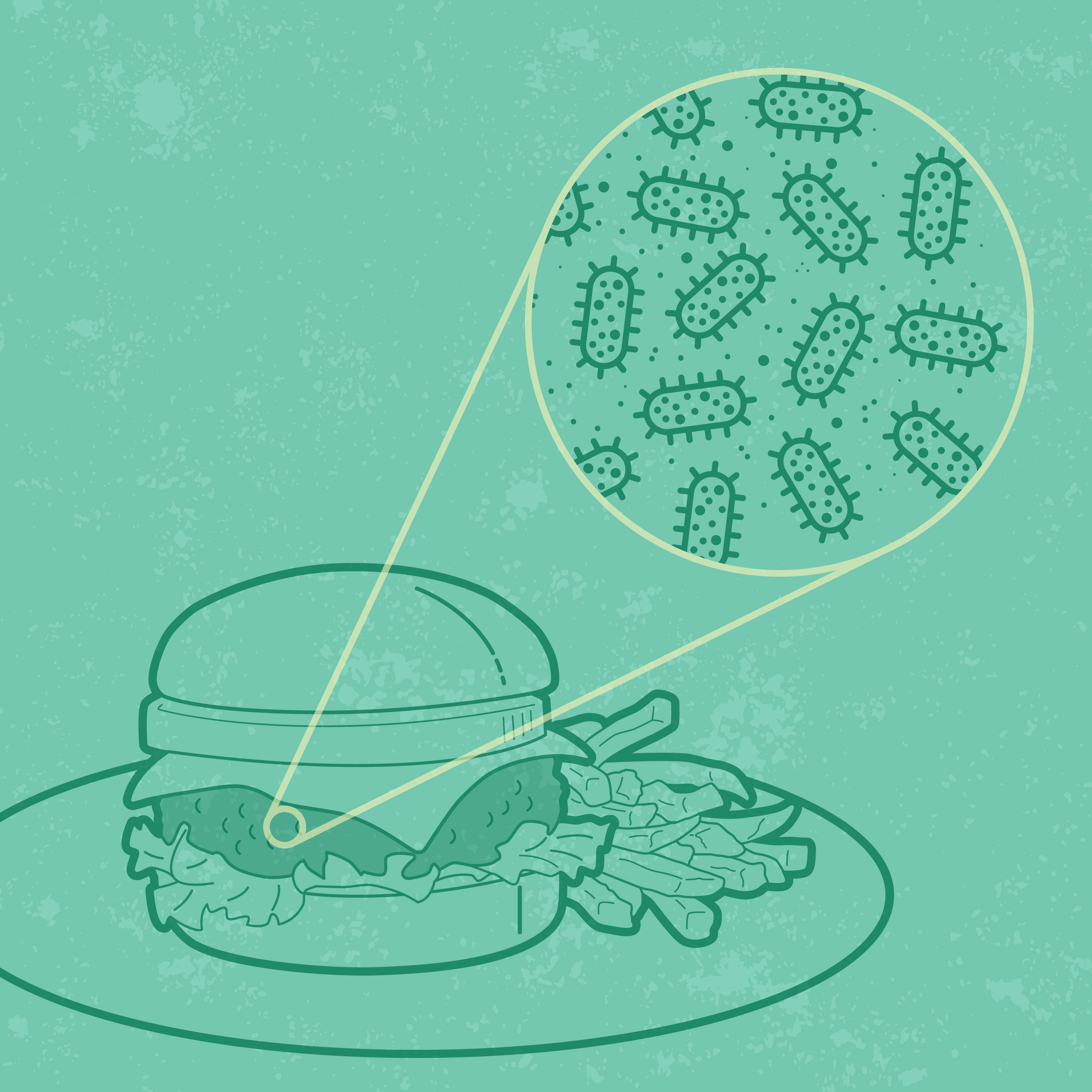 Graphic showing bacteria on a cheeseburger