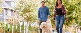 Couple walking dog in a neighborhood