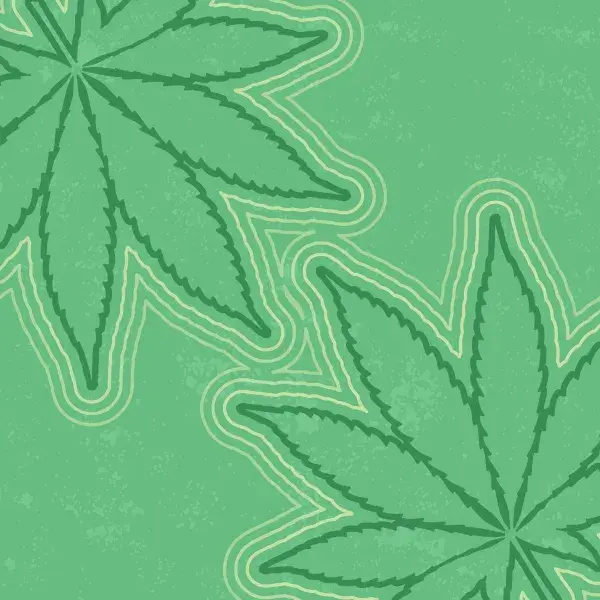 Cannabis