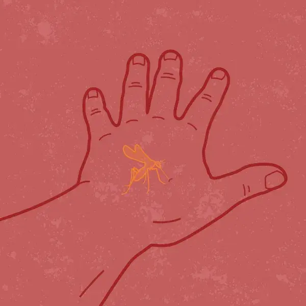 Mosquito on a persons' hand