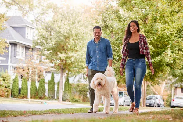 Couple walking dog in a neighborhood