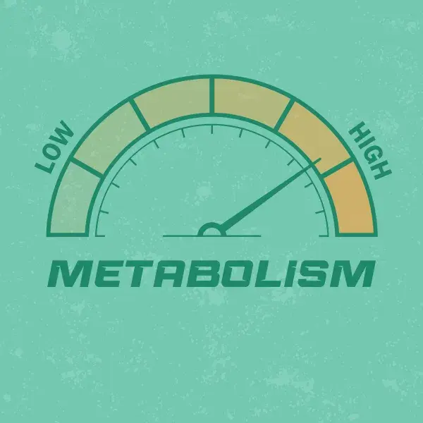 Metabolism graphic that looks like a speedometer