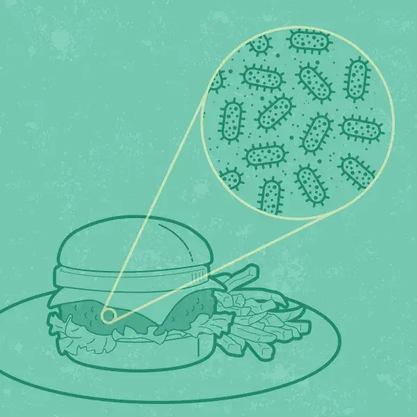 Graphic showing bacteria on a cheeseburger