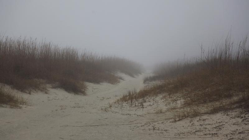 Haze over the beach