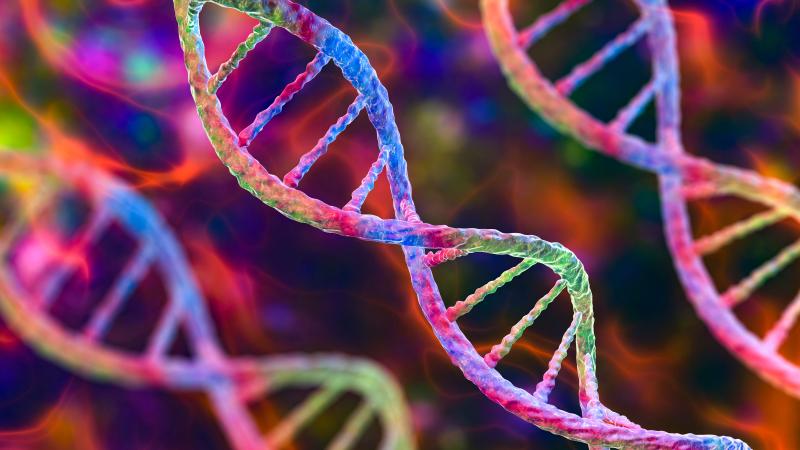 DNA strand