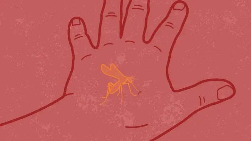 Mosquito on a persons' hand