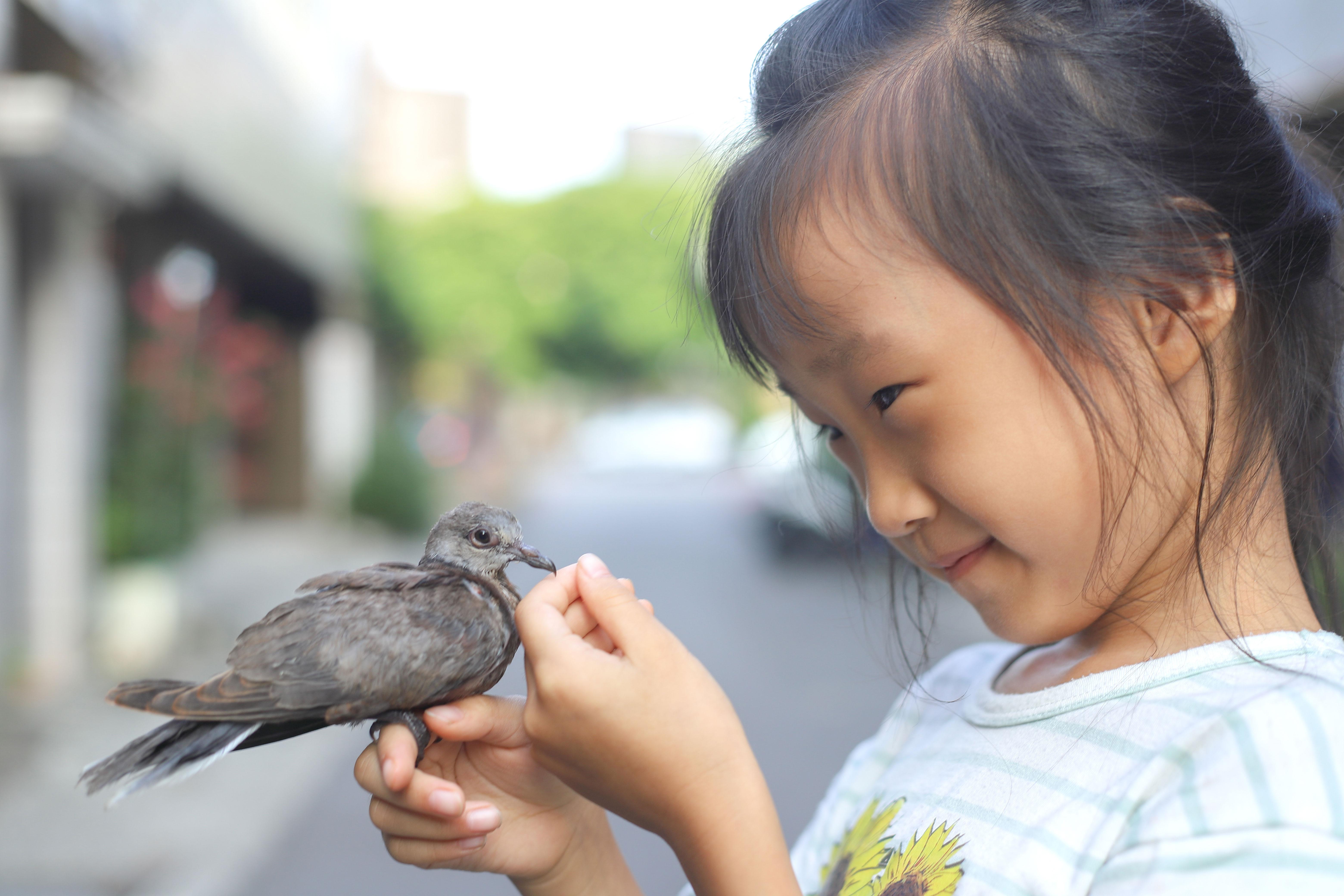 A young girl with a dove perched on her finger.