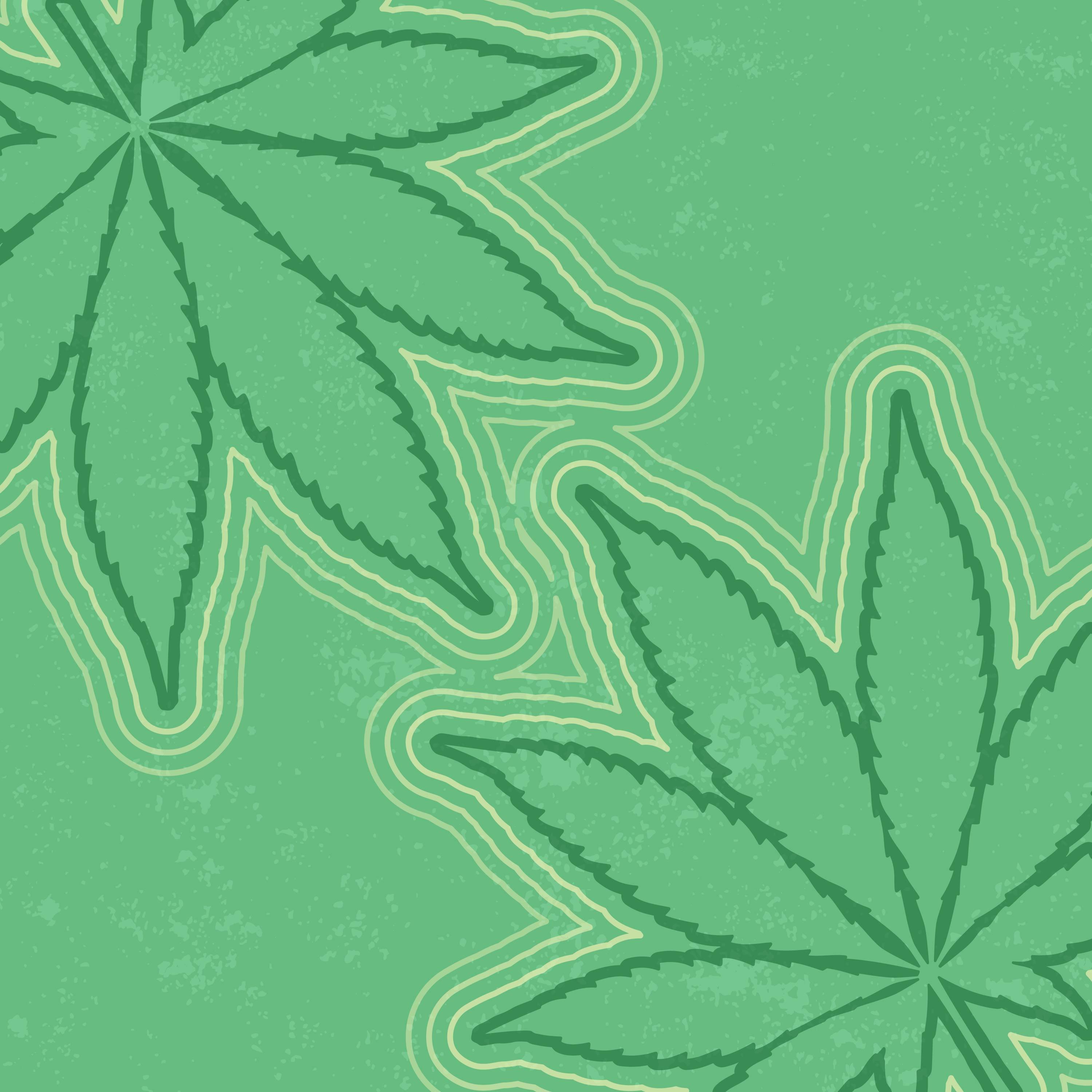 Cannabis