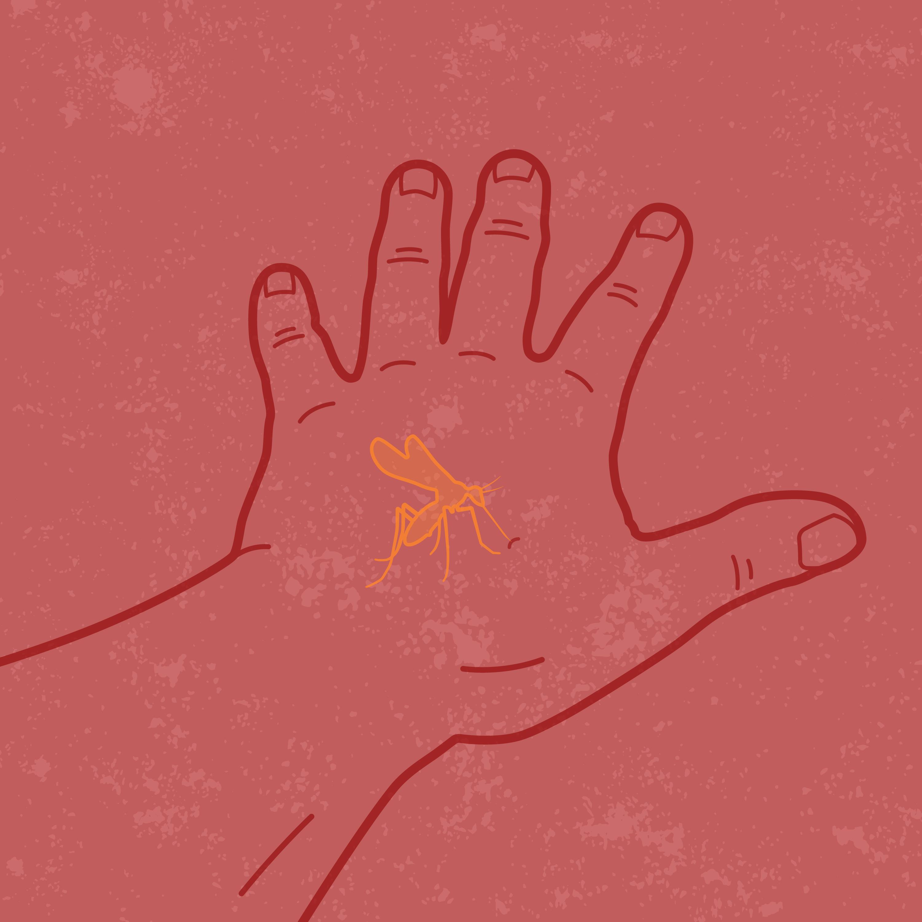 Mosquito on a persons' hand