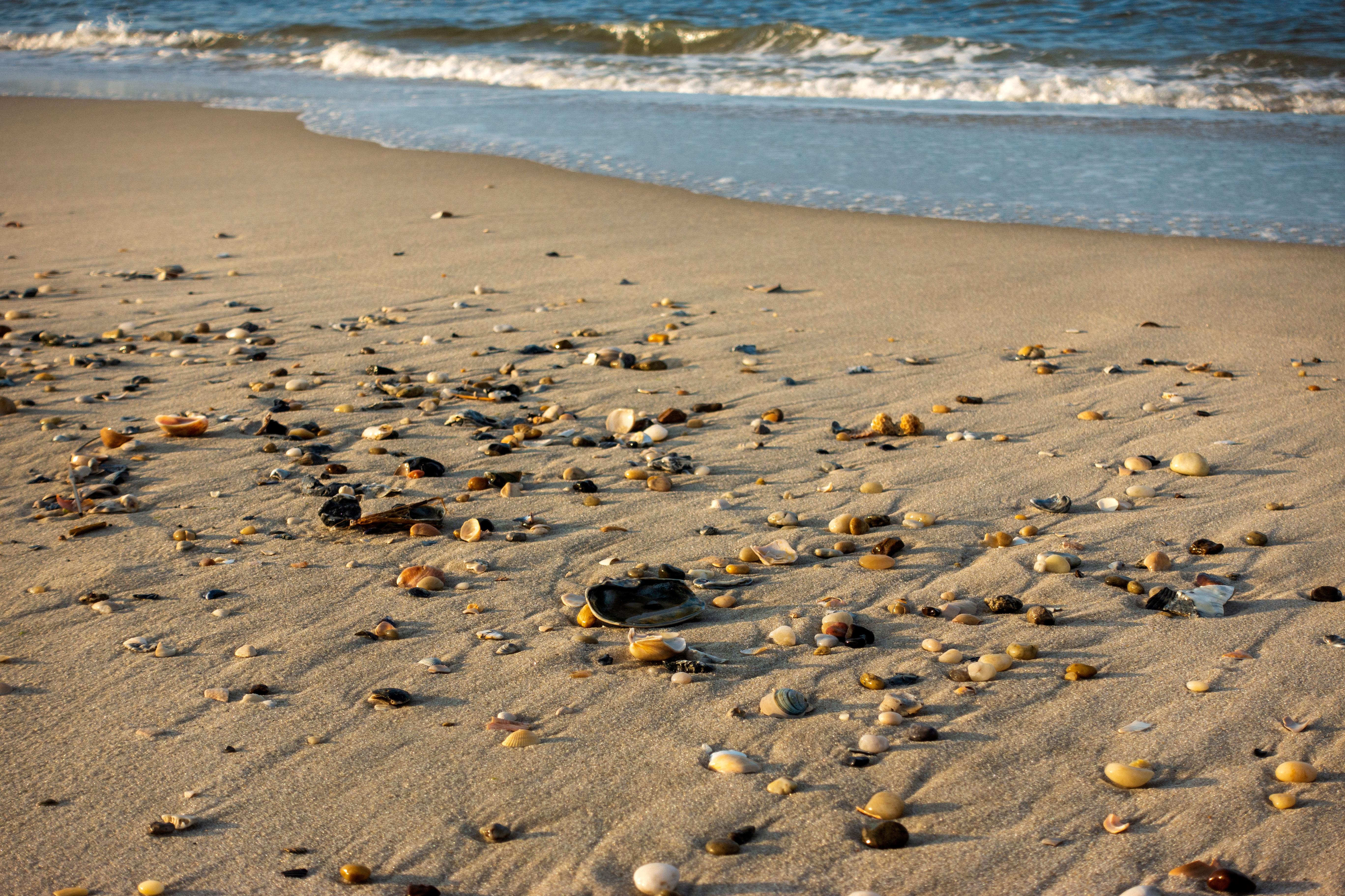 Pebbles on the beach
