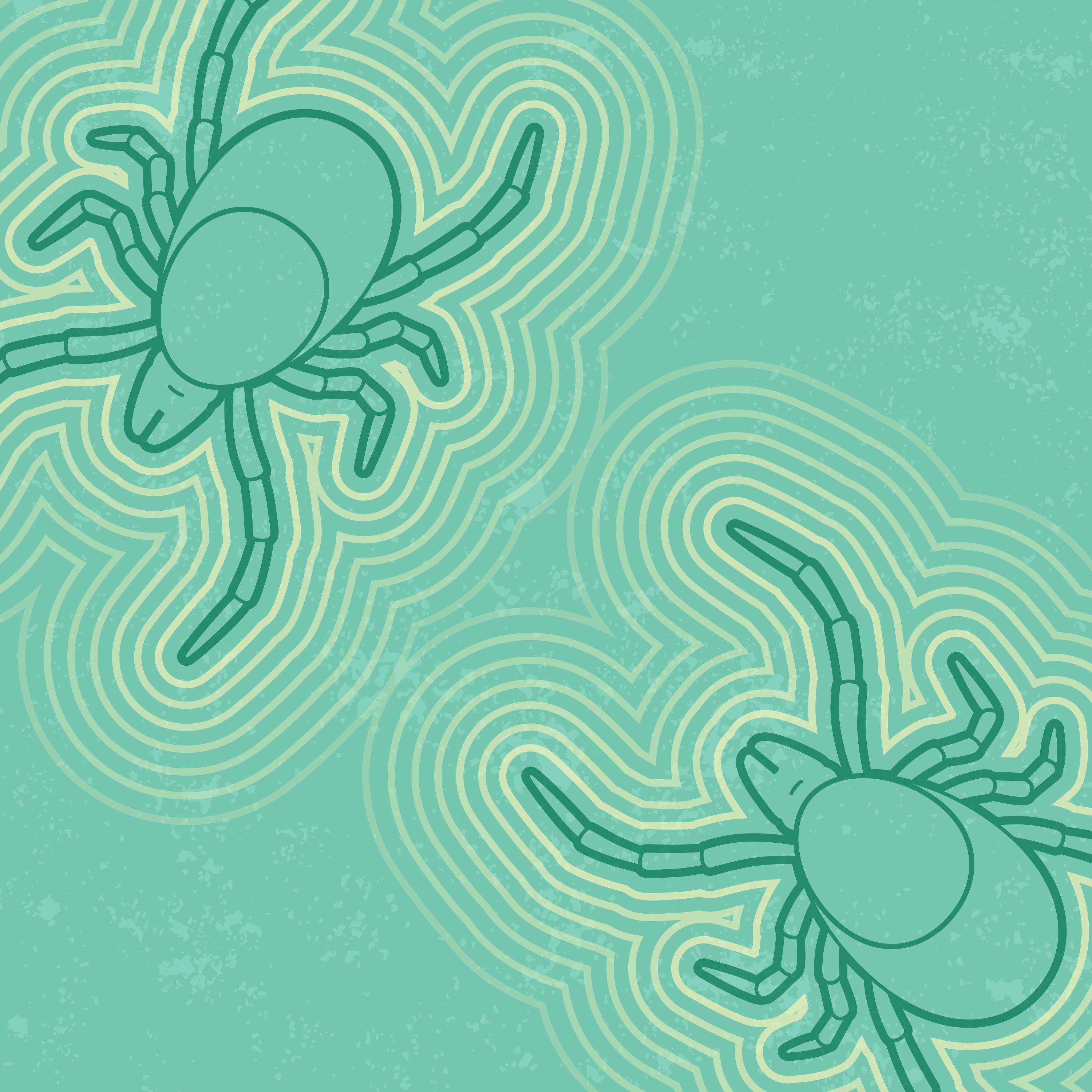 Graphic showing two ticks