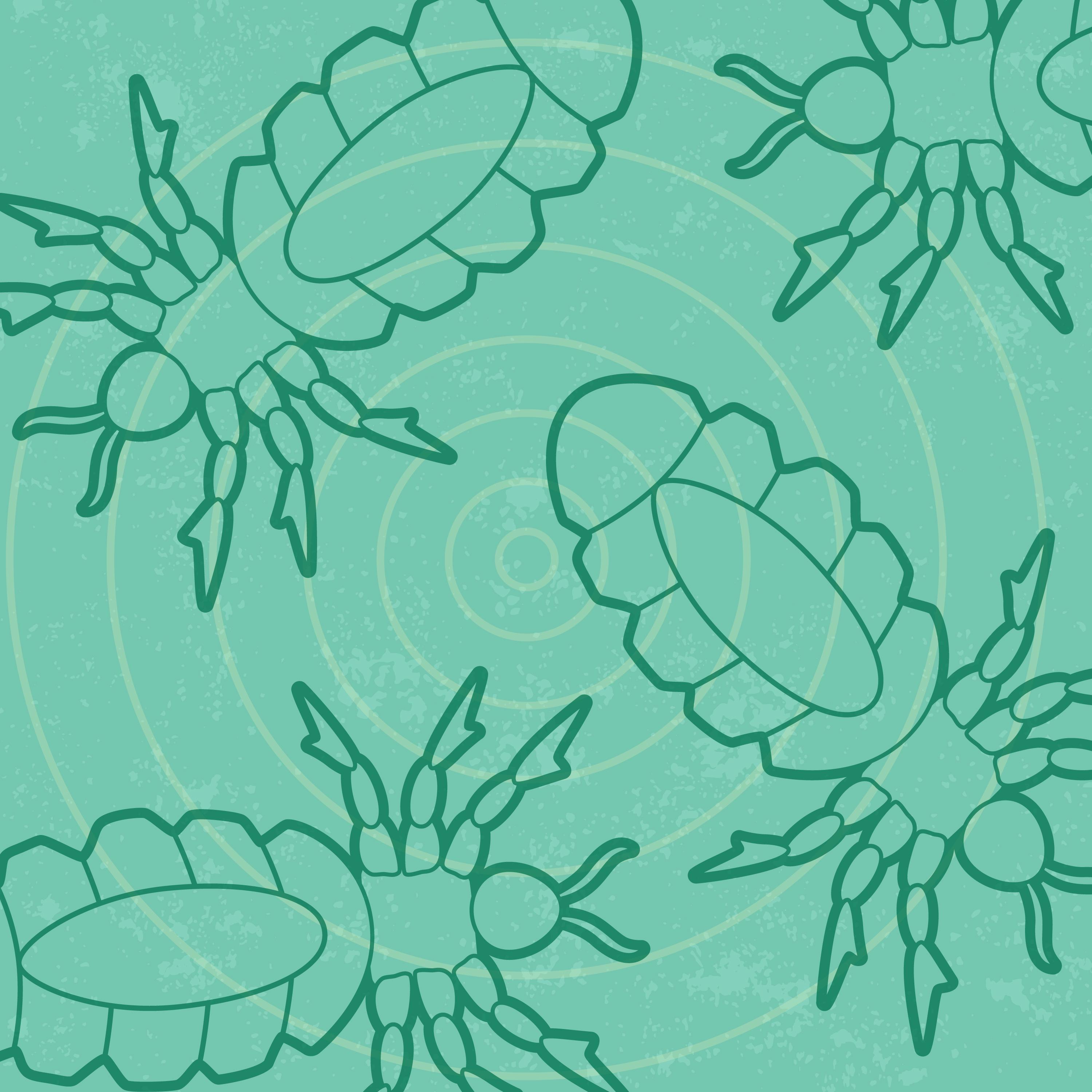 Graphic of lice